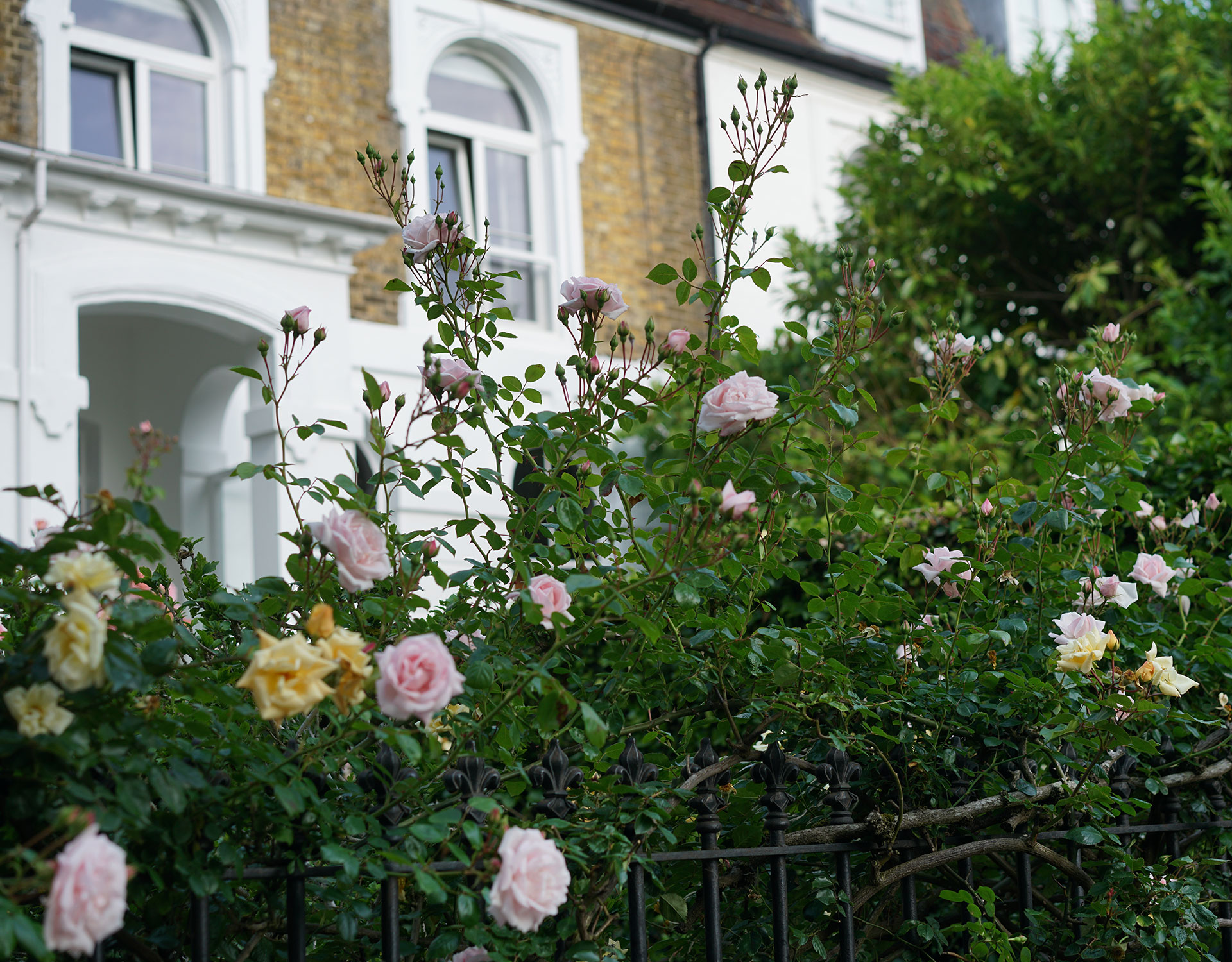Property Law Solicitors