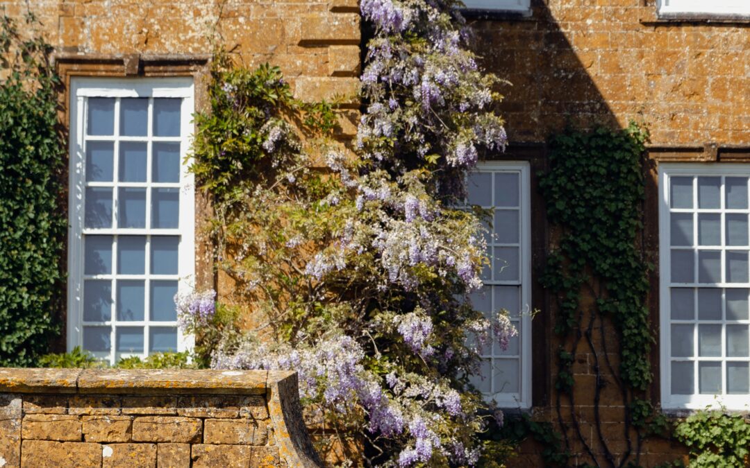 Stamp Duty Land Tax Guide